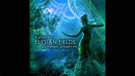  Elysian Fields の穏やかなメロディと宇宙的な響きが織りなす、 Ambient Music の極み